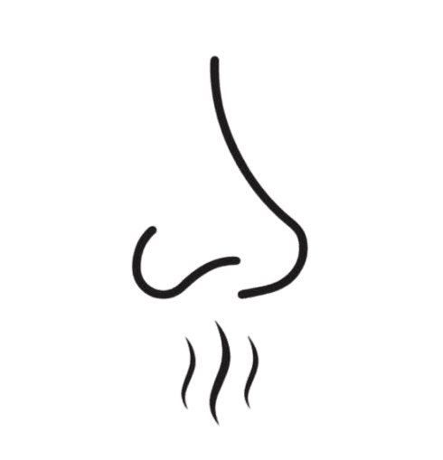 screen shot 2025 08 26 at 9.28.53 am removebg preview