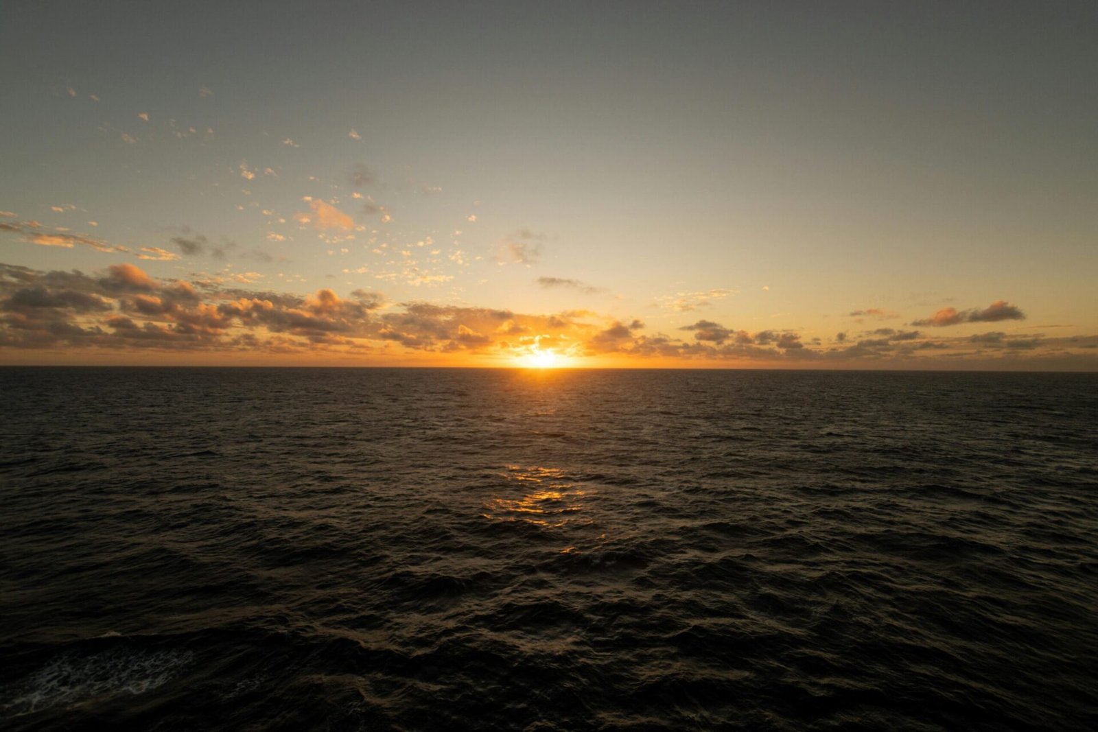 pexels oleksiy konstantinidi 2147541276 33564216